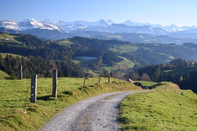 g13/33/557833/3/175044275.f4a9879a.JPEG