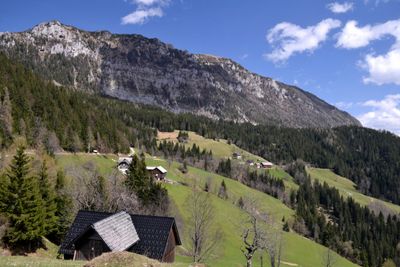 g13/33/557833/3/175398172.57d2707b.JPEG