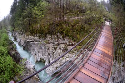 g13/33/557833/3/175419436.9f58c297.JPEG