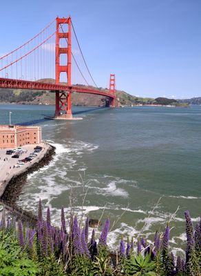 Golden Gate bridge in 2025