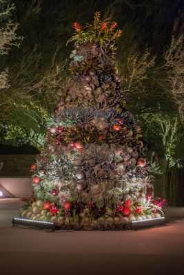 Phoenix Desert Botanical Garden 