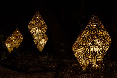 Desert Botanical Garden Light Display