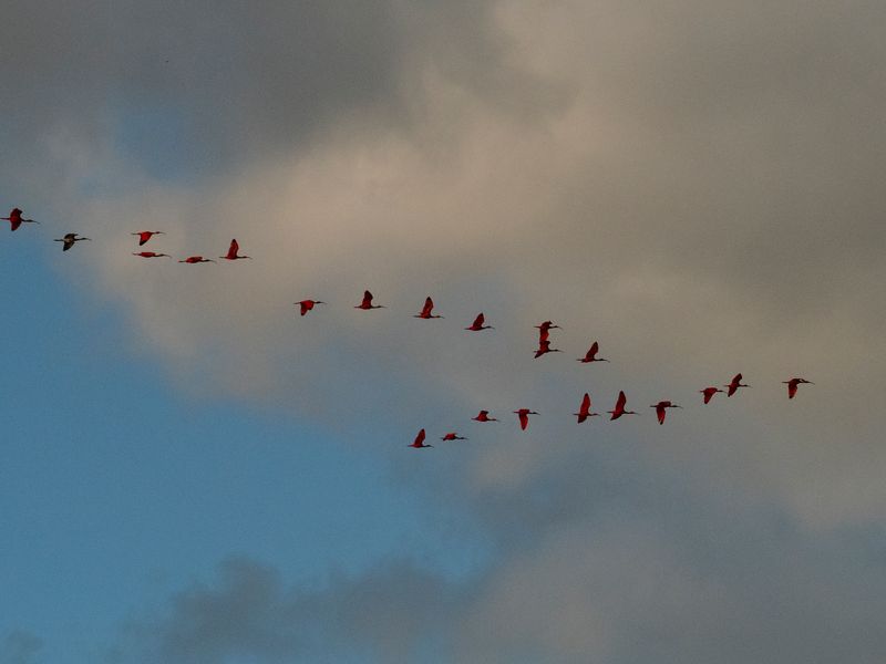 P7130255ar.jpg