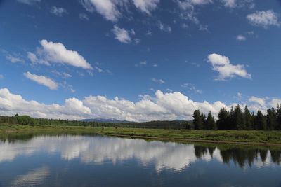 Afternoon Reflections