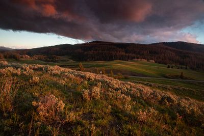 Togwotee Pass Sunset