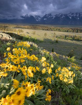 Passing Storms