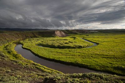 Sunlight in the Hayden Valley