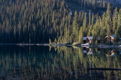 Cabins in the Evening