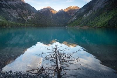 Fallen Tree & Reflections