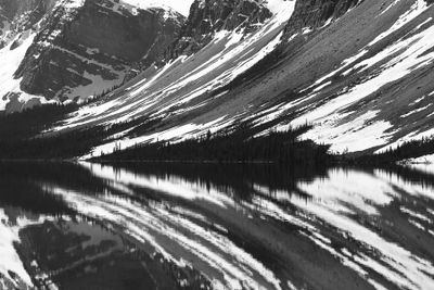 Bow Lake Reflections