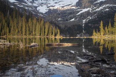 Evening Reflections