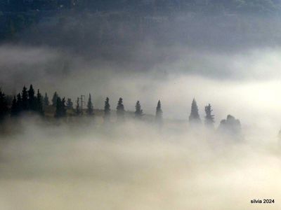 Ein Karem
