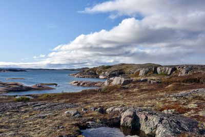 Paysage nordique