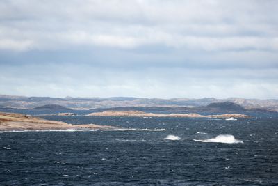 Direction Tête-à-la-baleine