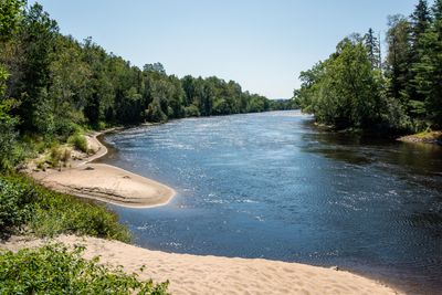 La lièvre 