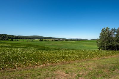 La vallée de la Lièvre