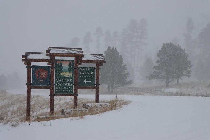 Valles Caldera 
