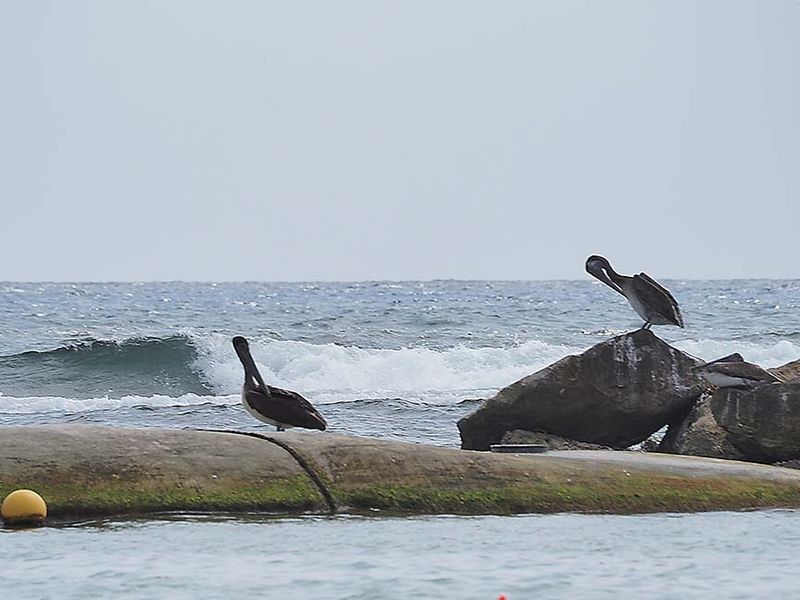 Akumal 3066208.JPG