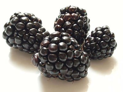 Blackberries backlitHF.JPG
