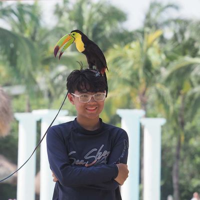 Hats 3150648.JPG
