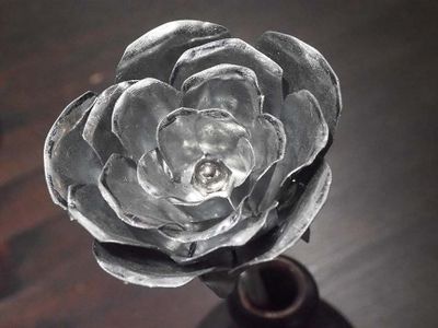 Flower 8101222.JPG