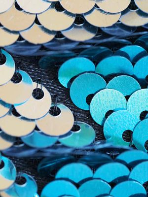 Sequins M 9161694.JPG