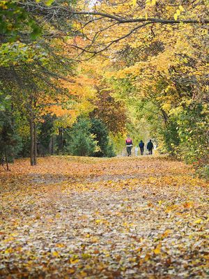 Fall A273631.JPG