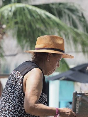Hat 3150694.JPG