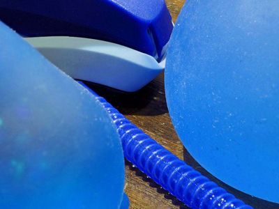 Blue C094668.JPG