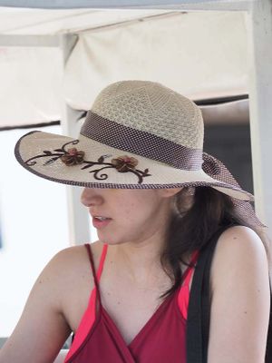 Hat 3180892.JPG