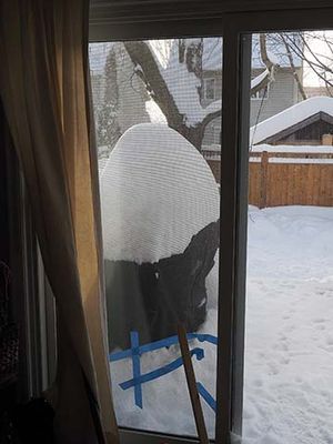 BBQ SnowSm 2176182.JPG