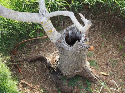 Nature C200227.jpg