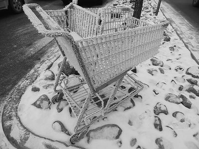 Winter 12010010.JPG