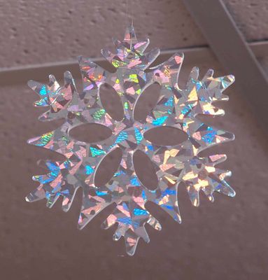 Snowflake-C140295+.JPG