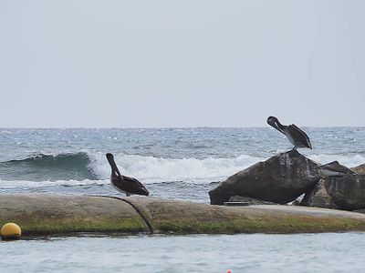 Akumal 3066208.JPG