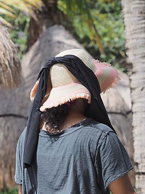 Hat 3160785.JPG