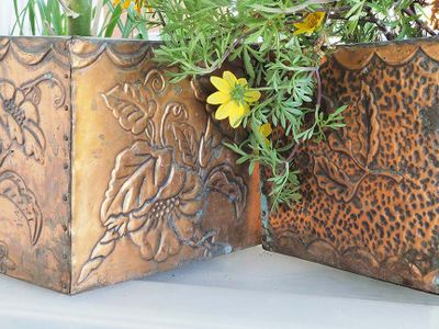 Planters 7198425.JPG