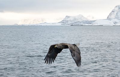 Scandinavia nature experience