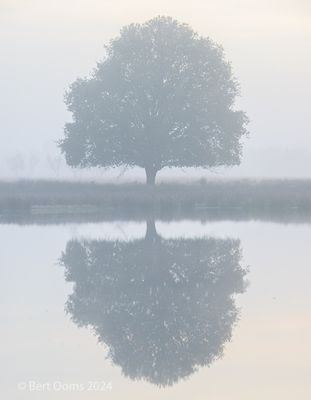 Bourtanger Moor - Bargerveen Landschap - Scenery