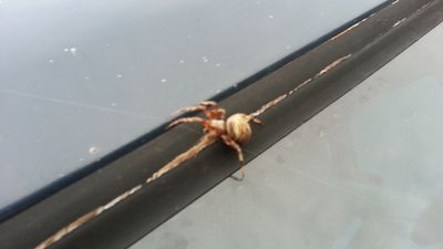 20140929_180847.jpg