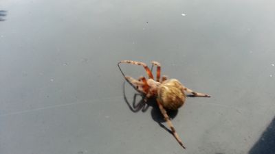20140929_180909.jpg