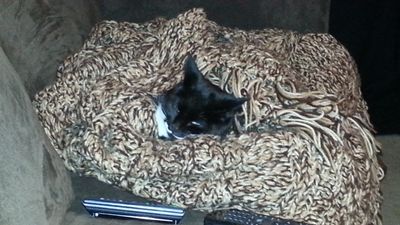 20141023_224657.jpg