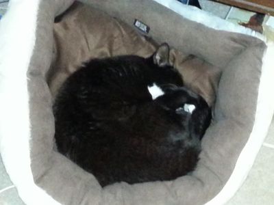 20150115_011400.jpg