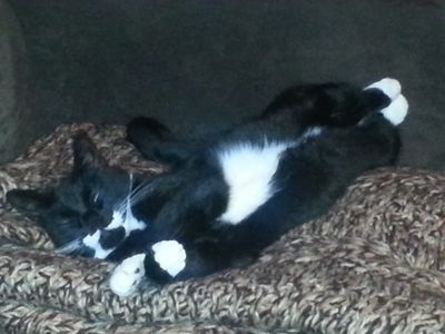 20150623_015246.jpg