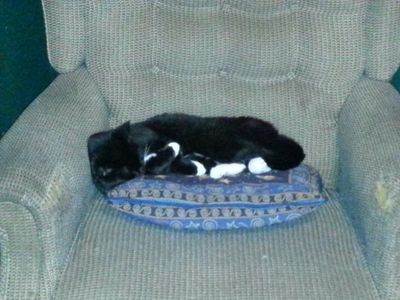 20150729_200327.jpg