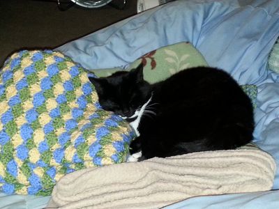 20150817_195546.jpg