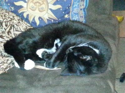 20150903_002909.jpg