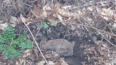 20160411_082404.jpg