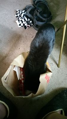 20160619_161255.jpg
