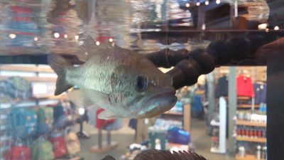 20160914_141120.jpg